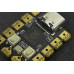 Beetle RP2040 Mini Development Board